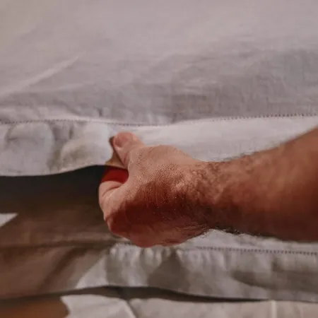 Themonkleros فيلة